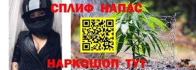 mdpv Новодвинск