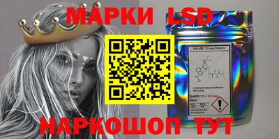 mdpv Новодвинск