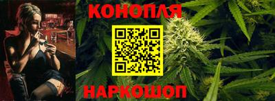 mdpv Новодвинск