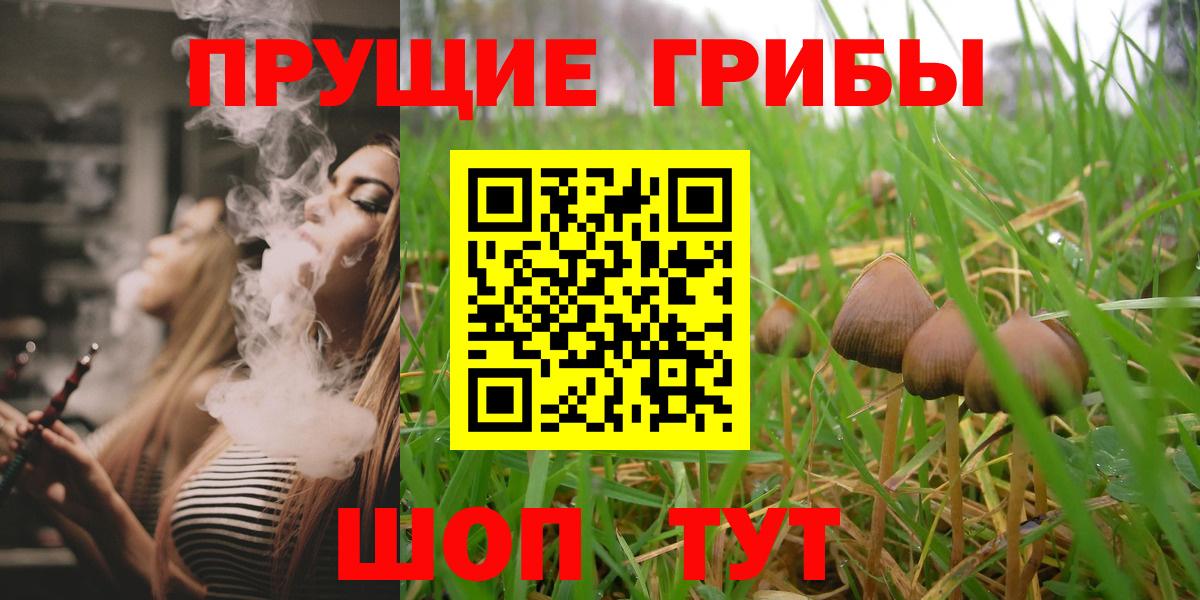 Сертолово  Галлюциногенные грибы мухоморы  Вход с VPN 