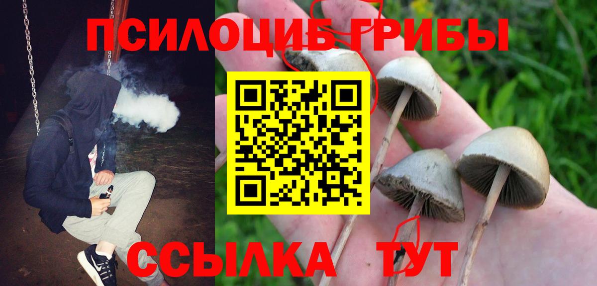 Галлюциногенные грибы MAGIC MUSHROOMS Сертолово
